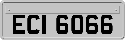 ECI6066