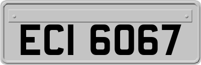ECI6067