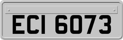 ECI6073