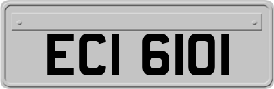ECI6101