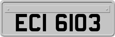ECI6103