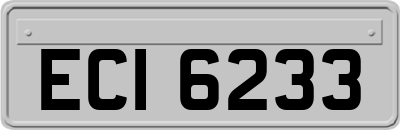 ECI6233