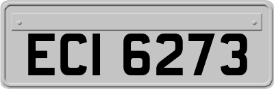 ECI6273