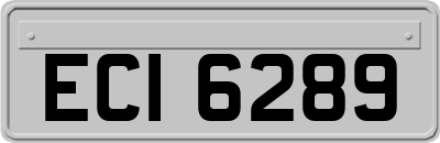ECI6289