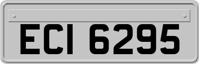 ECI6295