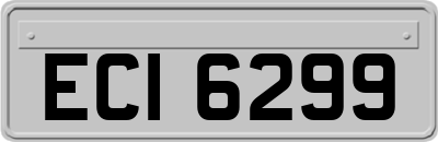 ECI6299