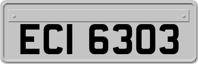 ECI6303