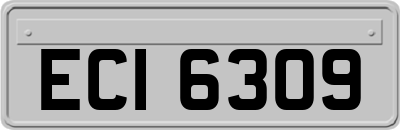 ECI6309
