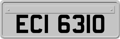 ECI6310