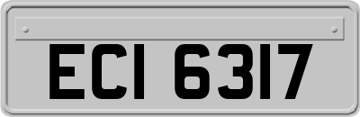 ECI6317