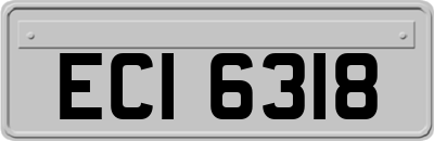 ECI6318