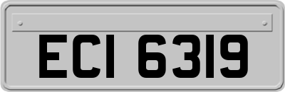 ECI6319