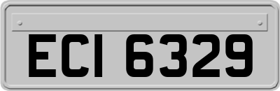 ECI6329