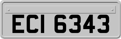 ECI6343