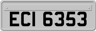 ECI6353