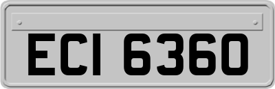 ECI6360