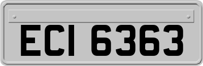 ECI6363