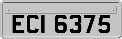 ECI6375