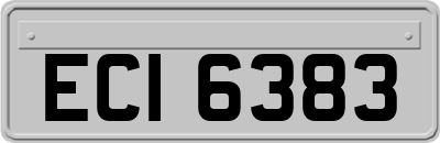 ECI6383