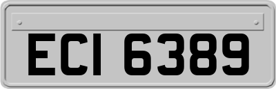 ECI6389