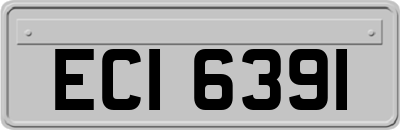 ECI6391