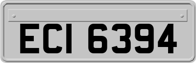 ECI6394