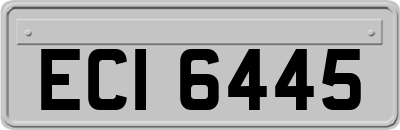 ECI6445