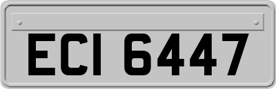 ECI6447