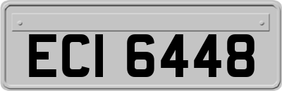 ECI6448