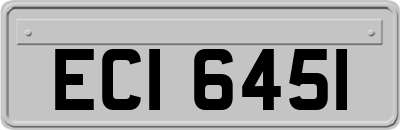 ECI6451