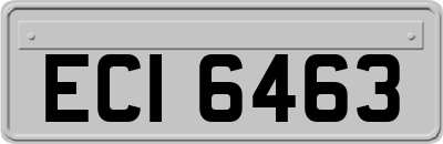 ECI6463