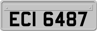 ECI6487