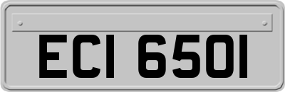 ECI6501