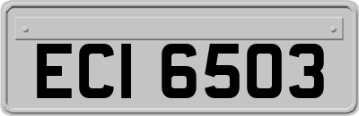 ECI6503