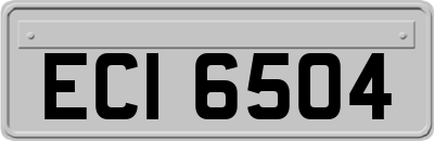 ECI6504
