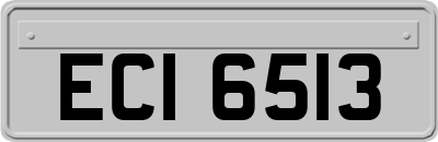 ECI6513