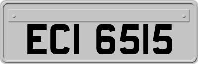ECI6515