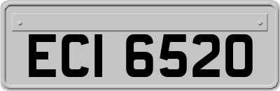 ECI6520