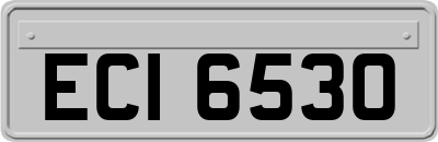 ECI6530