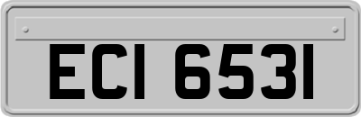 ECI6531