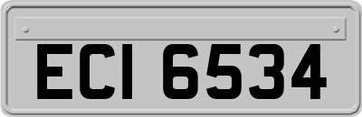 ECI6534