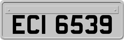ECI6539