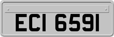 ECI6591