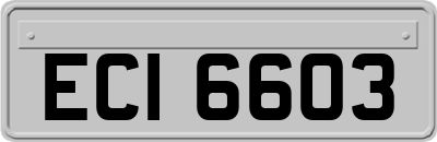 ECI6603