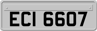 ECI6607