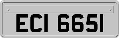 ECI6651