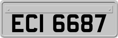 ECI6687