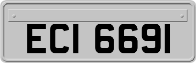 ECI6691