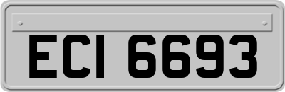 ECI6693