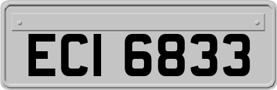 ECI6833